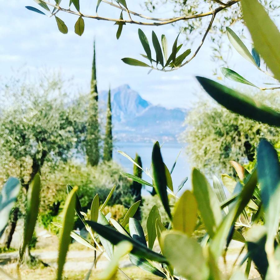 Maison Balu Villa Torri Del Benaco Εξωτερικό φωτογραφία